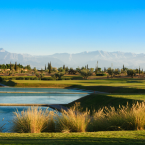 Championship Courses