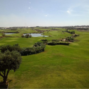 Casa Tour Courses