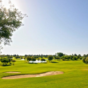 Fès Tour Courses