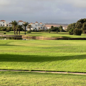 Saidia Tour Courses
