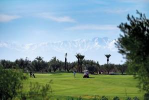 Le Top 5 de Marrakech